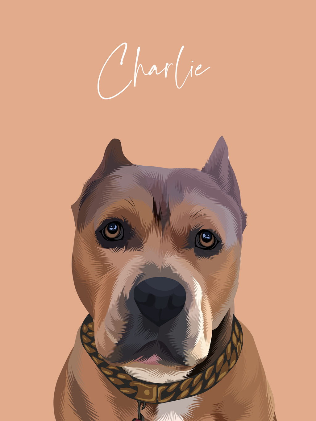 Vector pet portraits