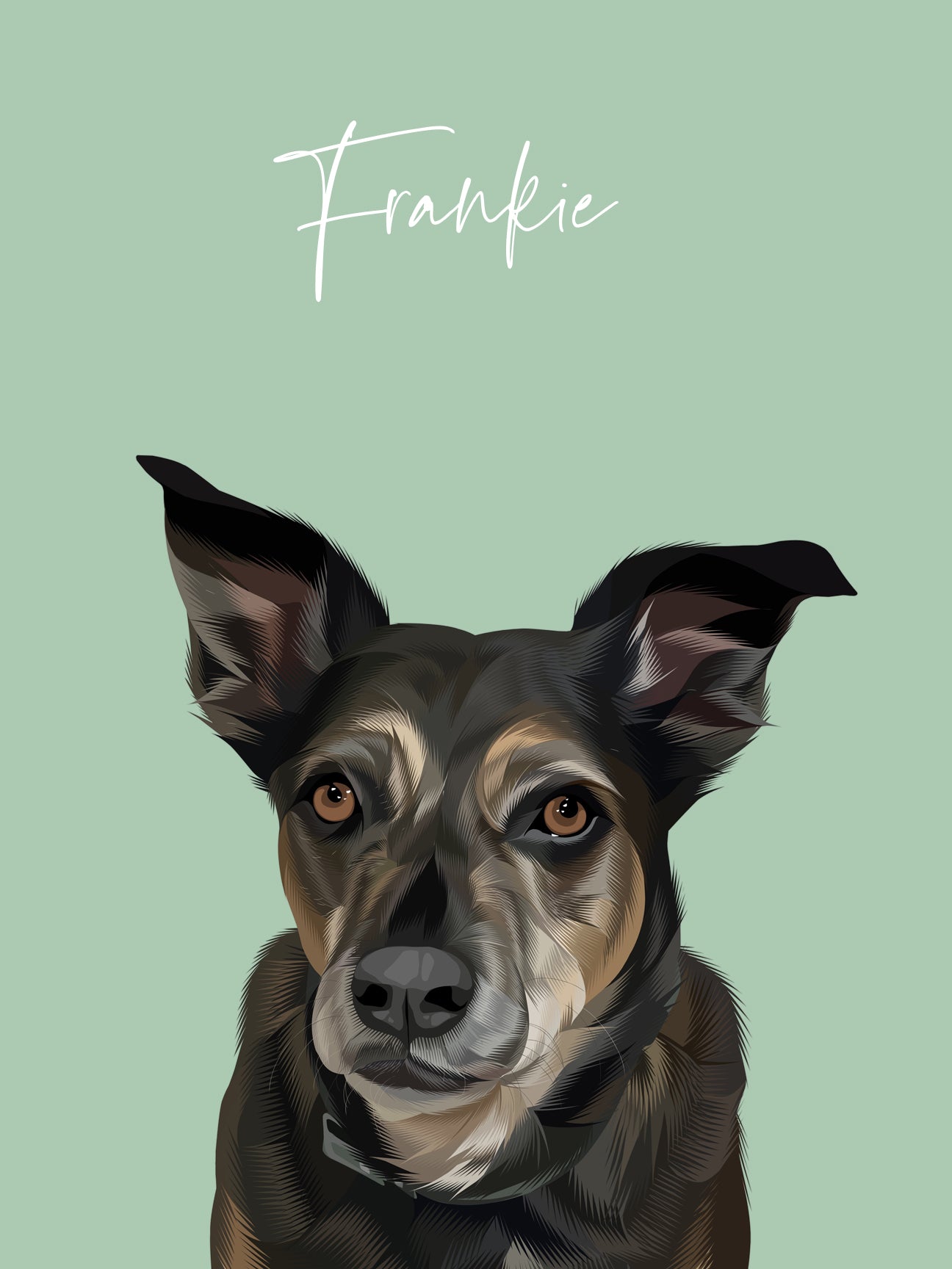 Vector pet portraits